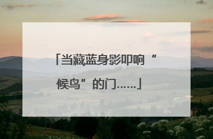 当藏蓝身影叩响“候鸟”的门……