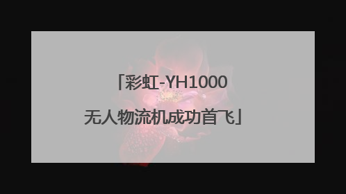 彩虹-YH1000无人物流机成功首飞