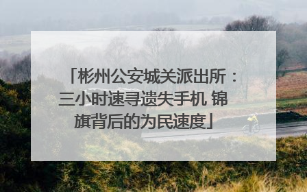 彬州公安城关派出所：三小时速寻遗失手机 锦旗背后的为民速度