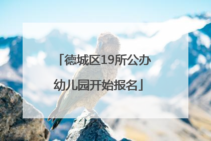 德城区19所公办幼儿园开始报名