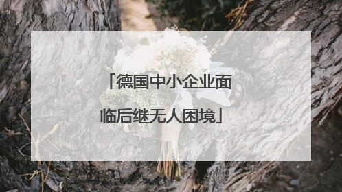 德国中小企业面临后继无人困境