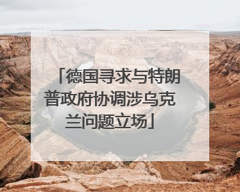 德国寻求与特朗普政府协调涉乌克兰问题立场