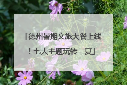 德州暑期文旅大餐上线！七大主题玩转一夏