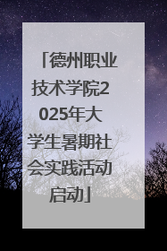 德州职业技术学院2025年大学生暑期社会实践活动启动