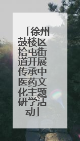徐州鼓楼区拾屯街道开展传承中医药文化主题研学活动