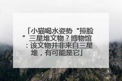小猫喝水姿势“撞脸”三星堆文物？博物馆：该文物并非来自三星堆，有可能是它
