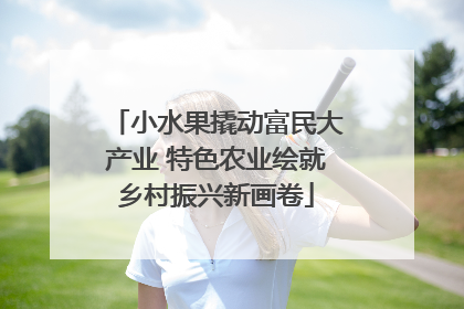 小水果撬动富民大产业 特色农业绘就乡村振兴新画卷