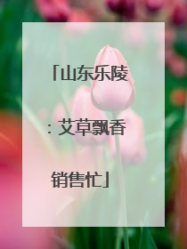 山东乐陵：艾草飘香销售忙