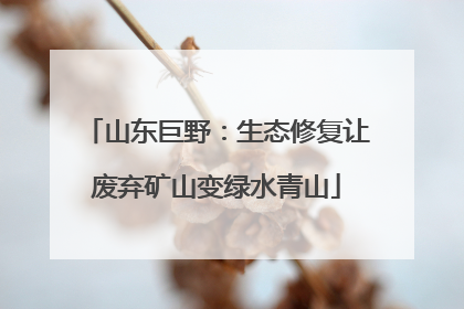 山东巨野：生态修复让废弃矿山变绿水青山