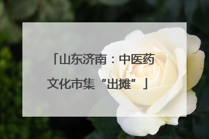 山东济南：中医药文化市集“出摊”