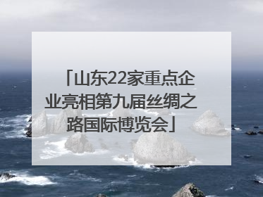 山东22家重点企业亮相第九届丝绸之路国际博览会