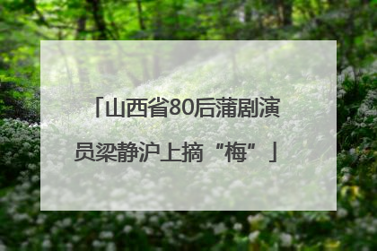 山西省80后蒲剧演员梁静沪上摘“梅”