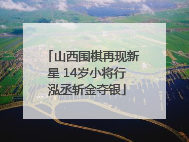 山西围棋再现新星 14岁小将行泓丞斩金夺银