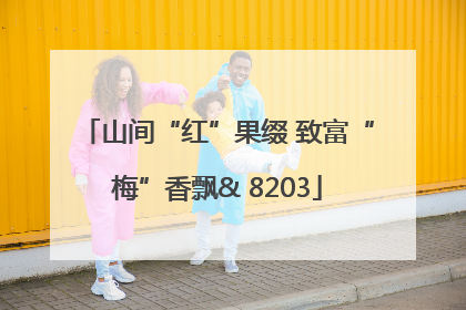 山间“红”果缀 致富“梅”香飘& 8203