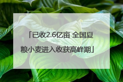 已收2.6亿亩 全国夏粮小麦进入收获高峰期
