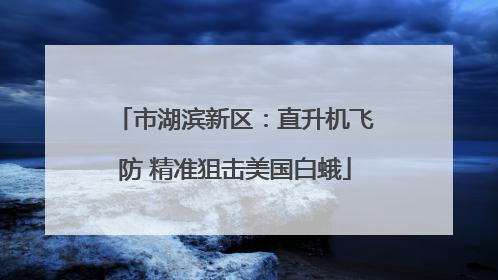 市湖滨新区：直升机飞防 精准狙击美国白蛾