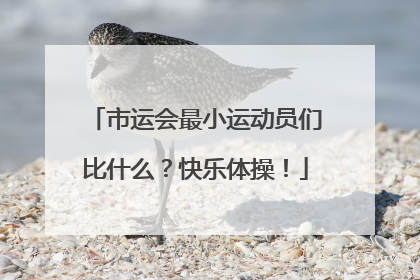 市运会最小运动员们比什么？快乐体操！
