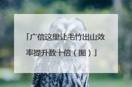 广信这里让毛竹出山效率提升数十倍（图）