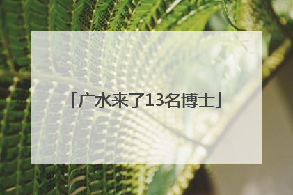 广水来了13名博士