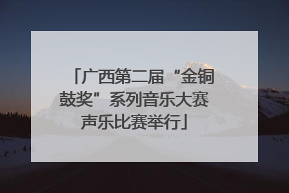 广西第二届“金铜鼓奖”系列音乐大赛声乐比赛举行