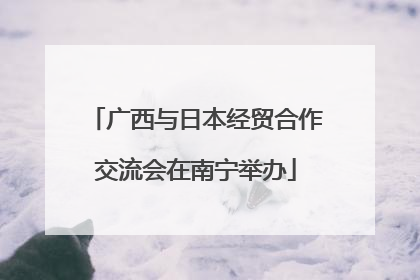 广西与日本经贸合作交流会在南宁举办