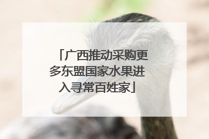 广西推动采购更多东盟国家水果进入寻常百姓家