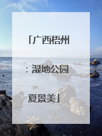 广西梧州：湿地公园夏景美