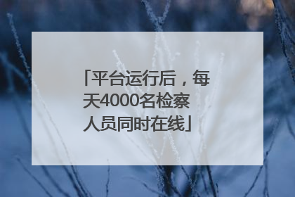 平台运行后，每天4000名检察人员同时在线