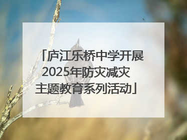 庐江乐桥中学开展2025年防灾减灾主题教育系列活动