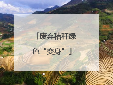 废弃秸秆绿色“变身”