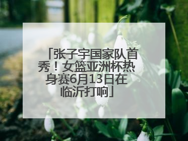 张子宇国家队首秀！女篮亚洲杯热身赛6月13日在临沂打响