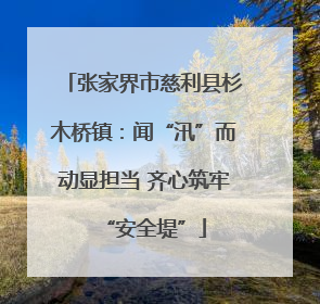 张家界市慈利县杉木桥镇：闻“汛”而动显担当 齐心筑牢“安全堤”