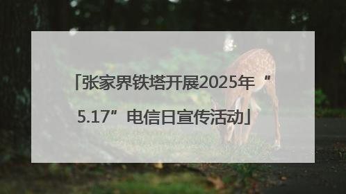张家界铁塔开展2025年“5.17”电信日宣传活动