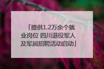 提供1.2万余个就业岗位 四川退役军人及军属招聘活动启动