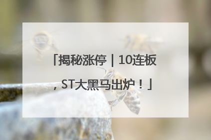 揭秘涨停｜10连板，ST大黑马出炉！