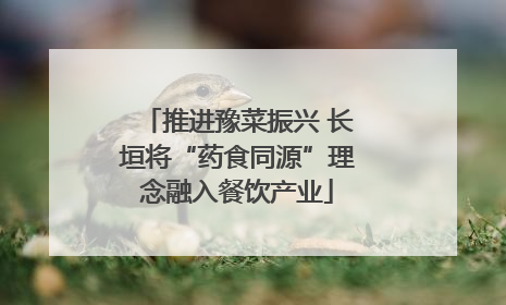 推进豫菜振兴 长垣将“药食同源”理念融入餐饮产业