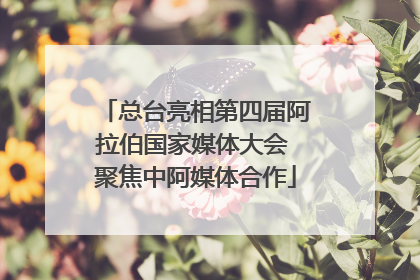 总台亮相第四届阿拉伯国家媒体大会 聚焦中阿媒体合作