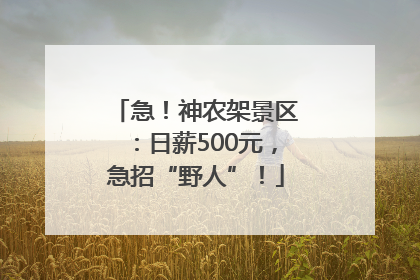 急！神农架景区：日薪500元，急招“野人”！