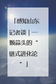 感知山东记者谈｜一颗蒜头的“链式进化论”
