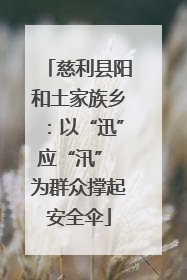 慈利县阳和土家族乡：以“迅”应“汛” 为群众撑起安全伞