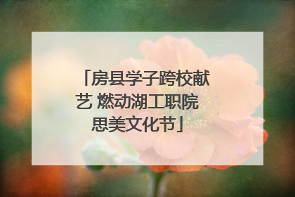 房县学子跨校献艺 燃动湖工职院思美文化节