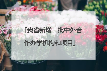 我省新增一批中外合作办学机构和项目