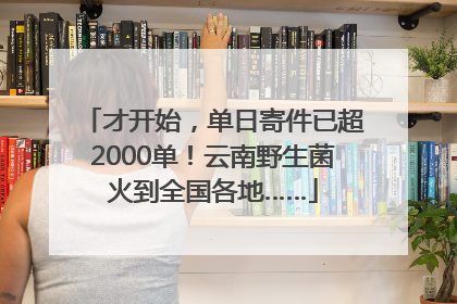 才开始，单日寄件已超2000单！云南野生菌火到全国各地……