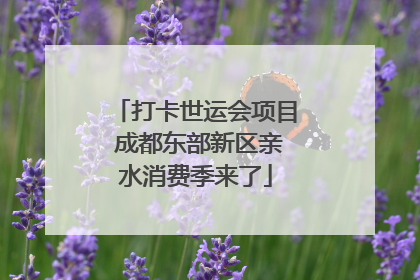 打卡世运会项目 成都东部新区亲水消费季来了