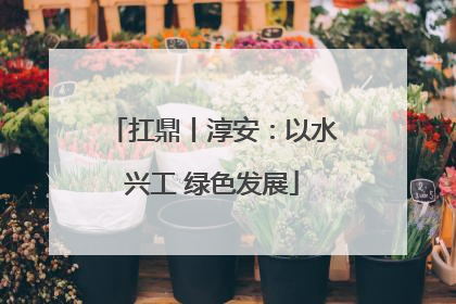 扛鼎丨淳安：以水兴工 绿色发展