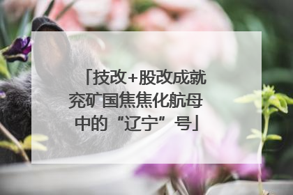 技改+股改成就兖矿国焦焦化航母中的“辽宁”号