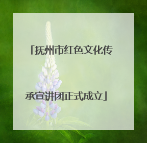 抚州市红色文化传承宣讲团正式成立