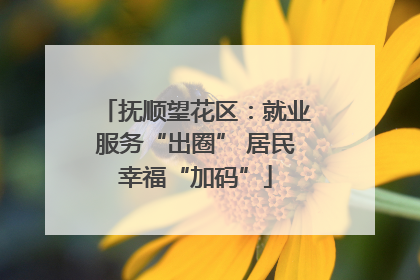 抚顺望花区：就业服务“出圈” 居民幸福“加码”