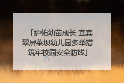 护佑幼苗成长 宜宾翠屏菜坝幼儿园多举措筑牢校园安全防线