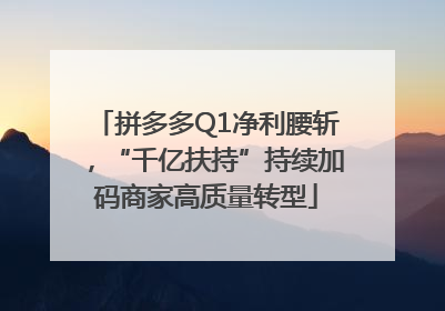 拼多多Q1净利腰斩，“千亿扶持”持续加码商家高质量转型